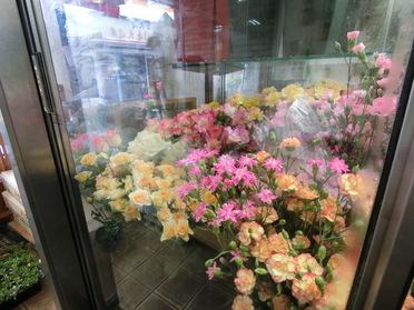 お花part1
