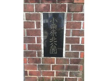 原木中山駅(徒歩9分)