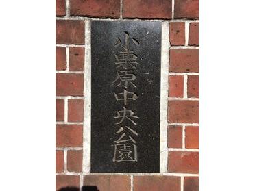 大通りから一本入った閑静な公園です。