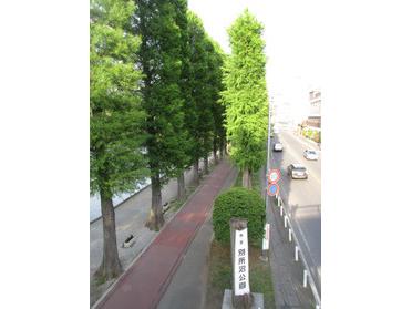 橋の上から