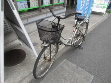 私の相棒です