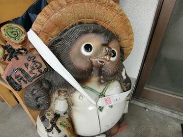 タヌキ