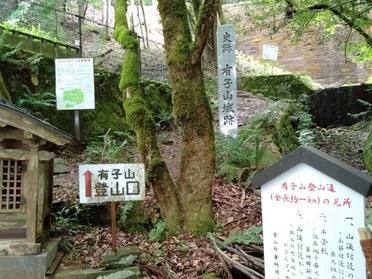 登り口