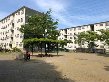 日光が心地よい公園です。