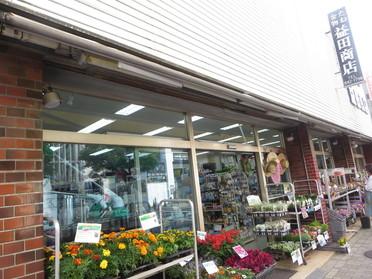 店先にはカラフルなお花が♪