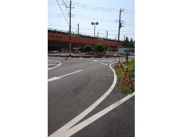 ここ!