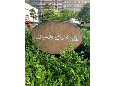 緑豊かな公園です!