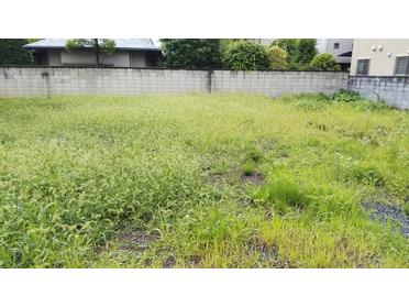 広いです!