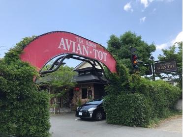 緑豊かなお店です