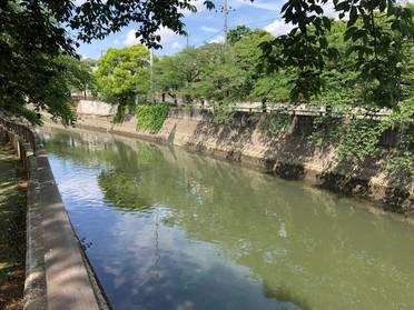 風流で癒されますね〜。