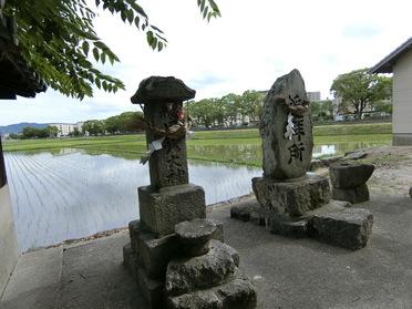 のどかな風景