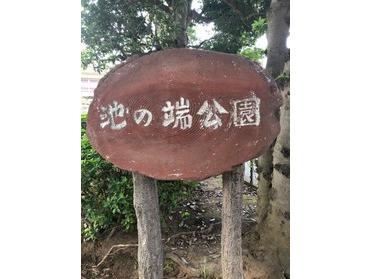 手入れが行き届いた綺麗な公園です。
