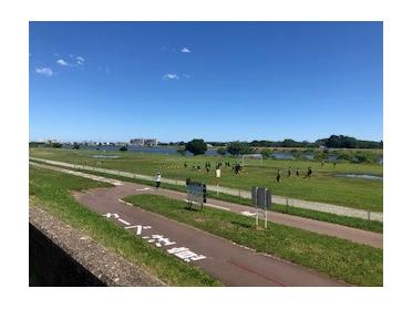 天気良いと最高です!