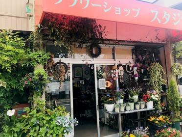 外にもたくさんのお花があります♪