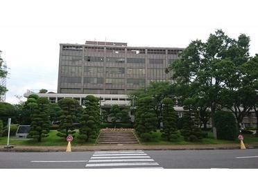 正面