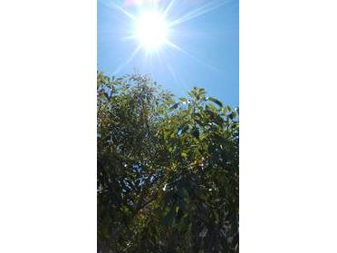 太陽を浴びて