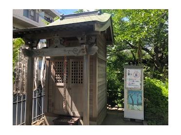 菩薩