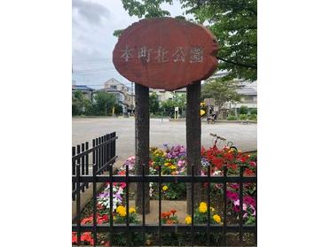 色とりどりのきれいな花が咲いております!