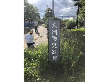 緑あふれる公園です!