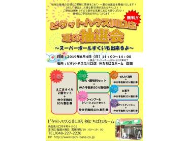 ピタットハウス川口店 夏の抽選会