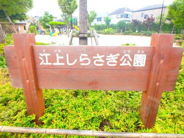 江上しらさぎ公園という公園です。