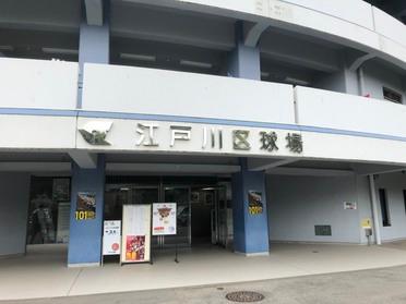 今日も熱い戦いが繰り広げられる・・・。