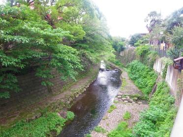 緑が綺麗です♪