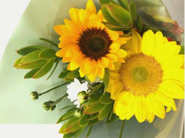 ひまわりの花束