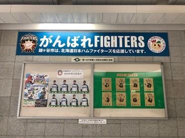 北海道日本ハムファイターズ