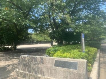 スポーツ公園の外観です。