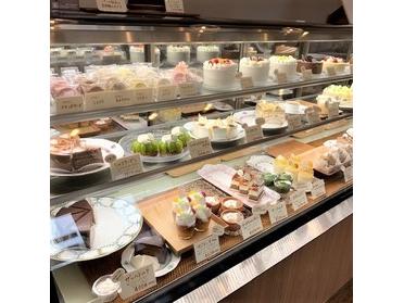 ショーケース