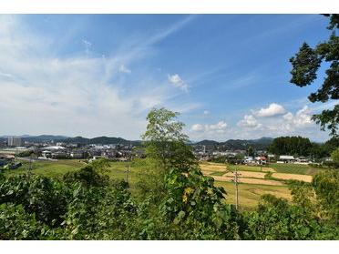 鹿沼花火大会が見られます