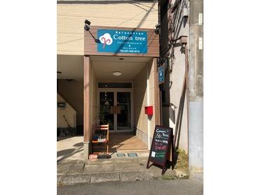 お店の外観
