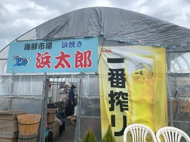 ビニールハウスなんてめずらしいですね♪