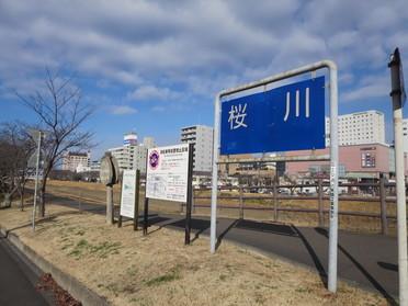 桜川