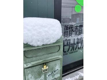 わたぼうし