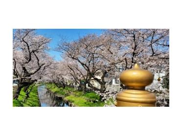 氷川神社