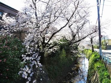 ☆東川☆