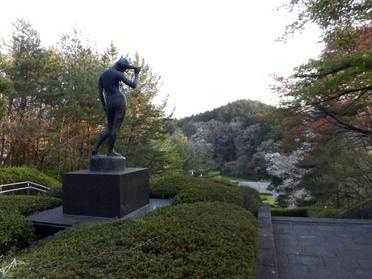 緑の風