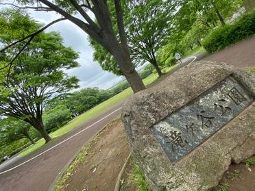 滝ヶ谷公園
