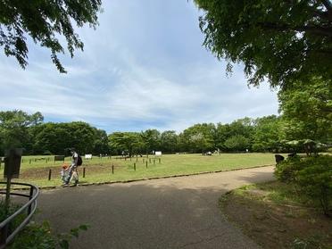 広場