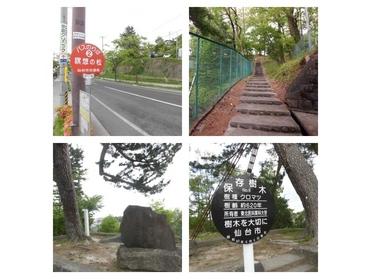 バス停から