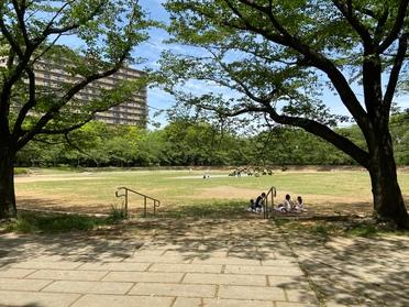 野原
