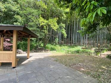 ベンチ