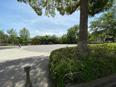 あやめ公園