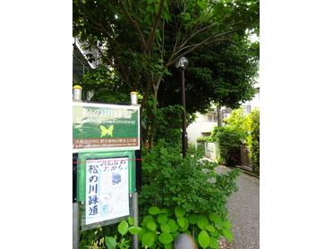 日吉地区センター近くの入り口