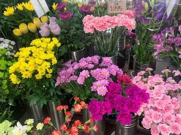 綺麗なお花たくさんあります!