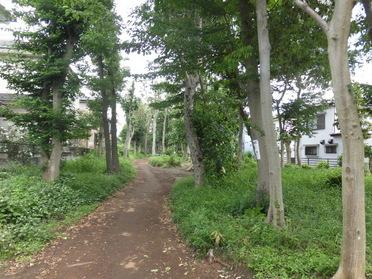 丸山ふれあいの森全体