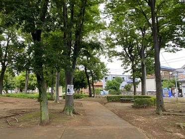 緑豊かです