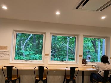 The Bird Watching Cafe